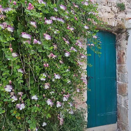 Apartment Nanna's Little Paradise Hvar Town