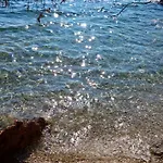 Nanna's Little Paradise דירה